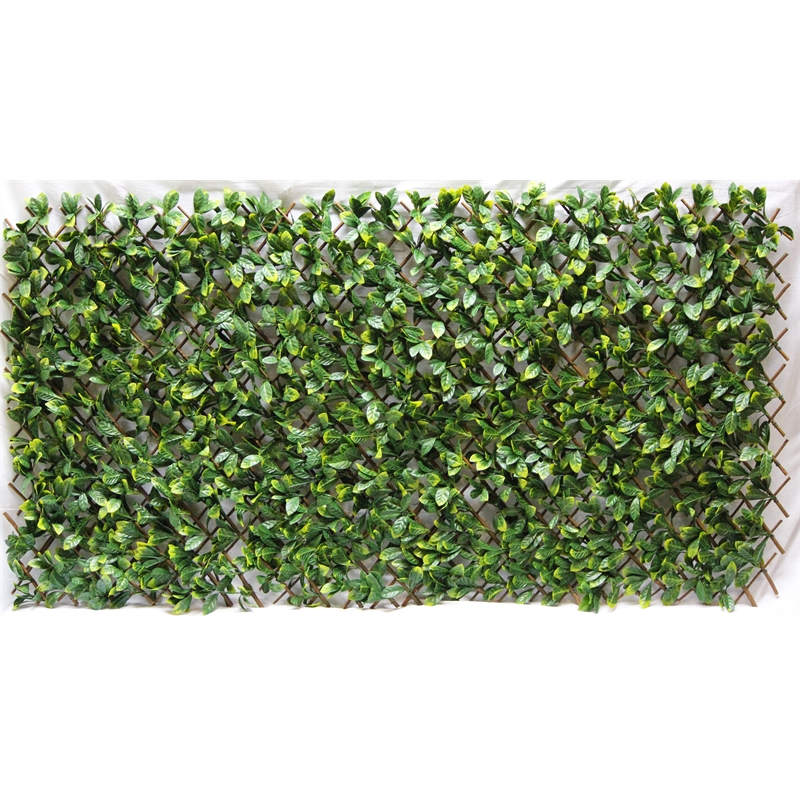 garden trellis bunnings Fasci Garden