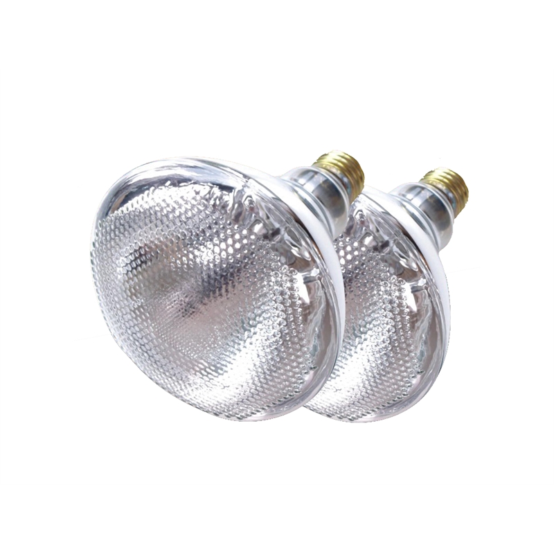 Speciality Light Bulbs Bunnings Warehouse, NZ