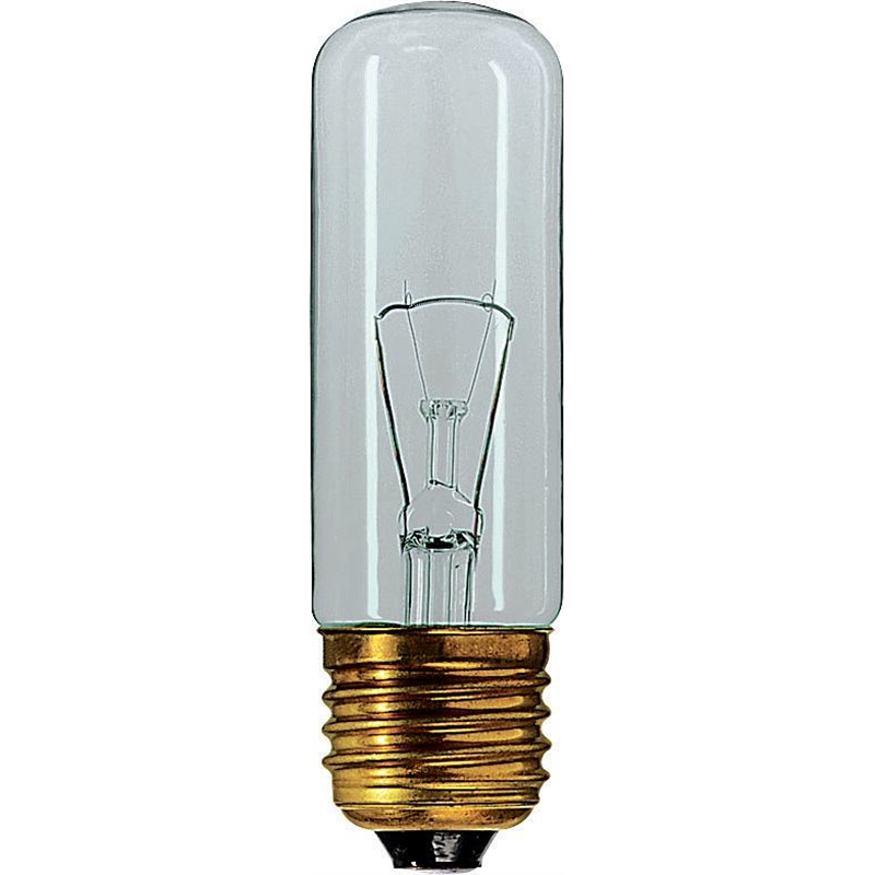 Philips Oven Bulb 25W T29 Clear Bunnings Warehouse