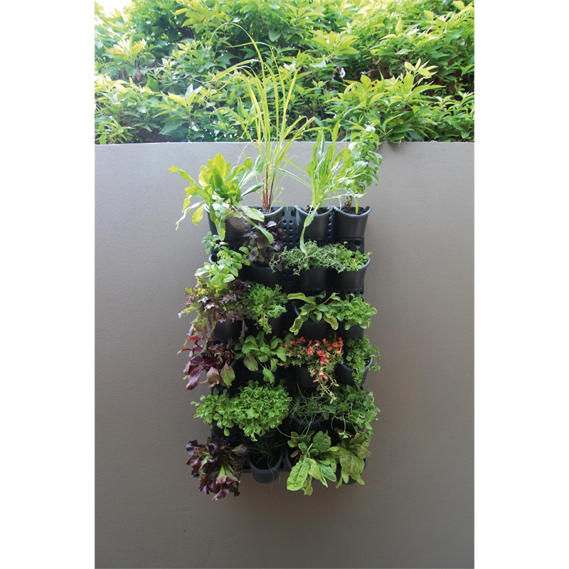 Holman GreenWall Vertical Garden Kit Bunnings Warehouse