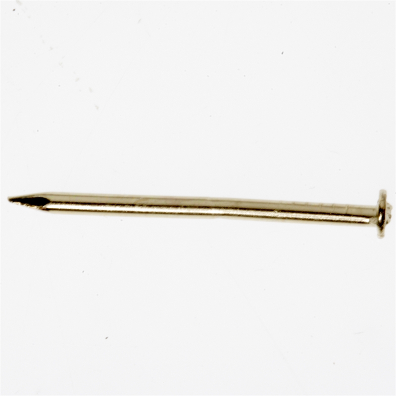 TIC Framing Picture Nails Hardened Steel 10pcs 20mm SKU 00173318