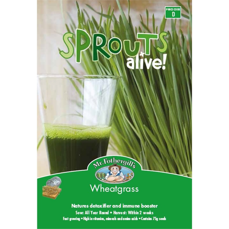 Mr Fothergill's Wheatgrass Sprouts Alive Seeds Bunnings Warehouse