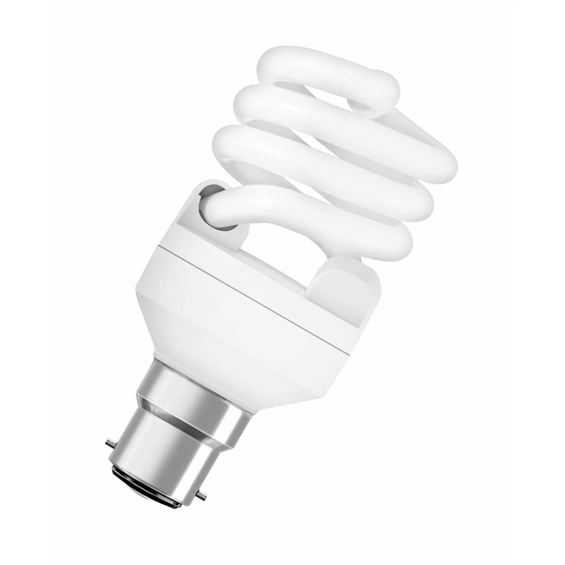 CFL Light Bulbs Bunnings Warehouse, NZ