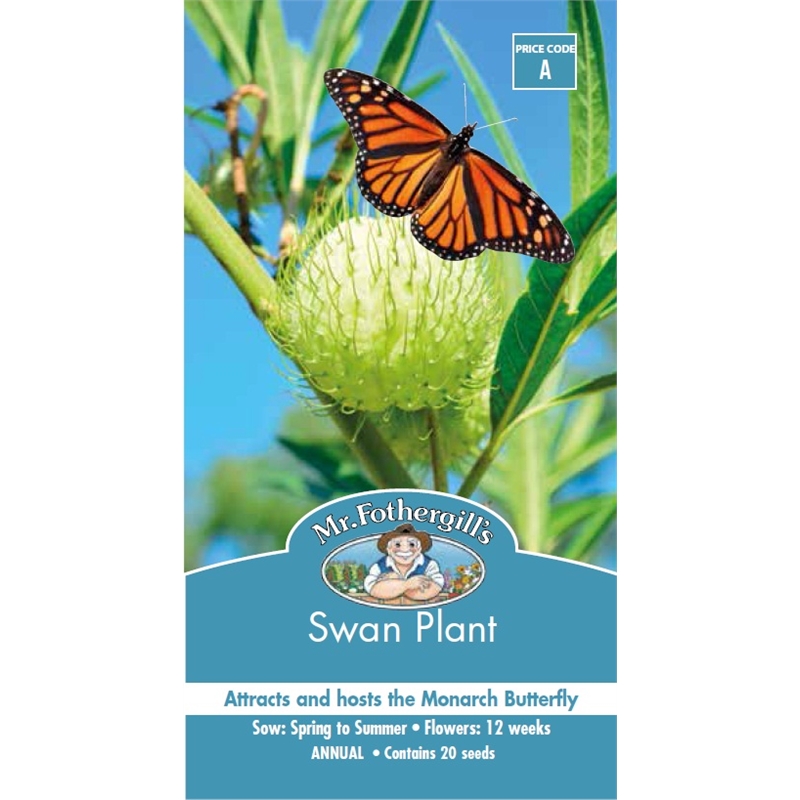 Flower Seeds From Bunnings Warehouse New Zealand Bunnings Warehouse