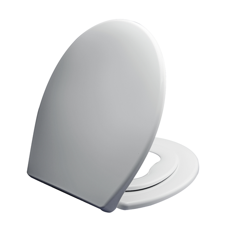 Hydrowater Family Softclose Toilet Seat Bunnings Warehouse
