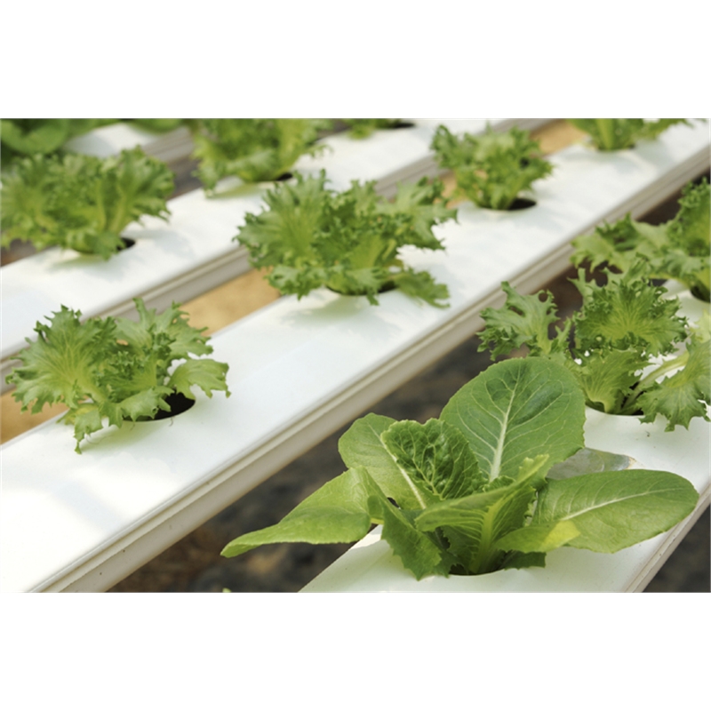 Egmont Hydroponic Complete Kit | Bunnings Warehouse