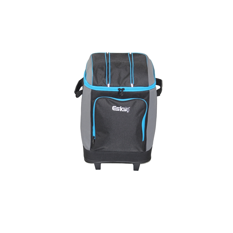 esky 16 can hybrid cooler with ice brick