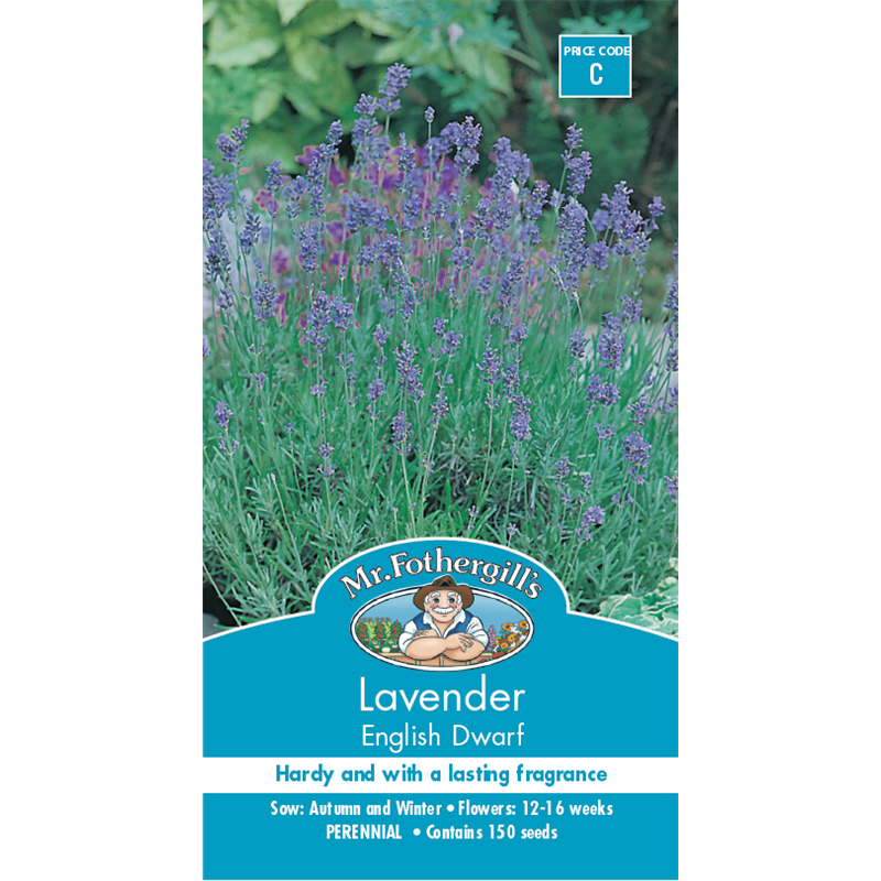 Mr Fothergill's Lavender English Dwarf Seeds Bunnings Warehouse
