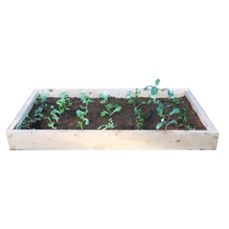 EcoBox Macrocarpa Kitset Garden 20x900x2000mm Bunnings Warehouse