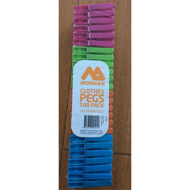 All Set Plastic Clothes Pegs Assorted 100pk Bunnings Warehouse