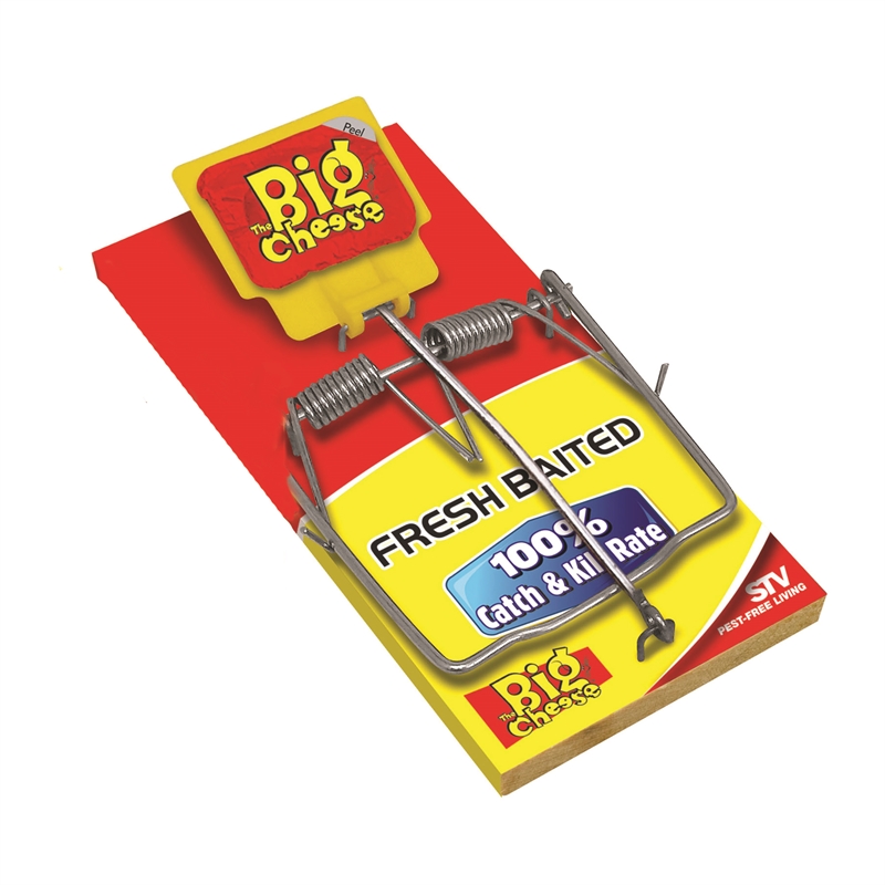 Big Cheese Fresh Baited Rat Trap