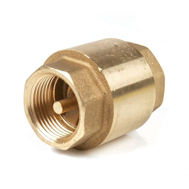 Bugatti Euro2000 Spring Check Valve 15mm Bunnings Warehouse