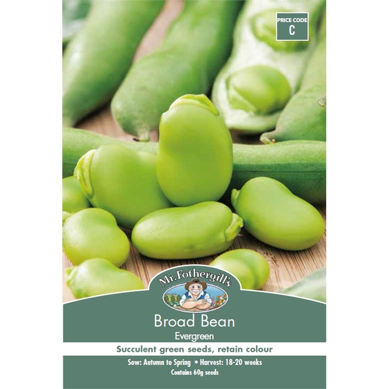 Mr Fothergill's Seed Broad Bean Evergreen Bunnings Warehouse
