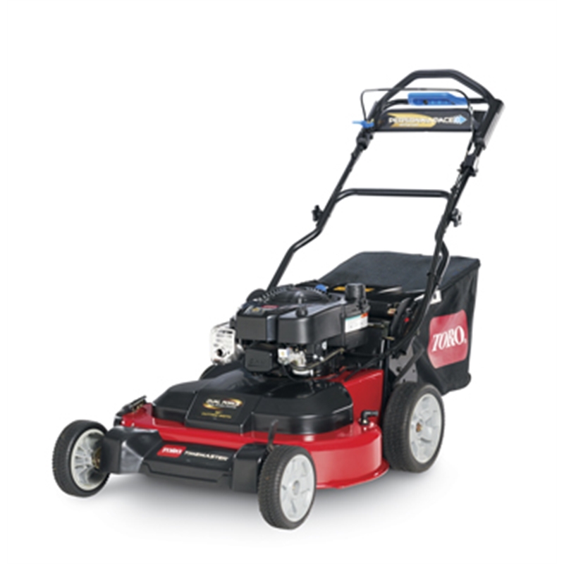 Toro Timemaster 4Stroke Mower 190cc 750mm Bunnings Warehouse